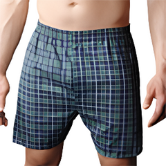 A model wearing green and black checkered boxer briefs.
