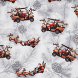 santa sleigh golf cart 