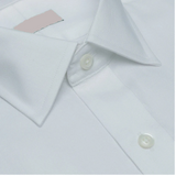 Close-up of a white royal Oxford shirt collar with buttons and a label.